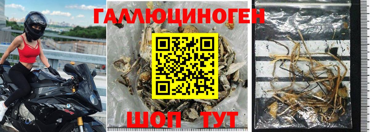 Галлюциногенные грибы прущие грибы  Вход с VPN  Орехово-Зуево  Псилоцибиновые грибы Cubensis 